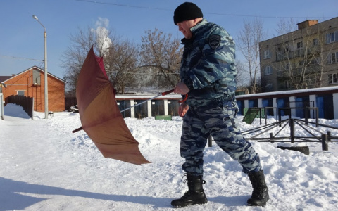 8 советов кинолога, как спастись от своры собак