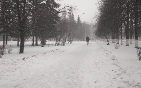 В Чувашии неделя начнется с плюсовой отметки и сильного ветра с дождем
