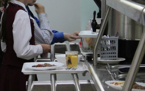 Бесплатное питание для школьников Чувашии нужно будет ждать три года