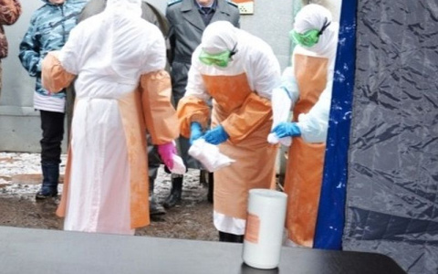 В Чувашии выявлена вспышка бешенства