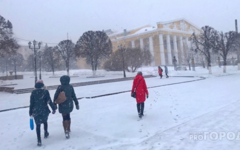 Во вторник жителей Чувашии ожидает мокрый снег