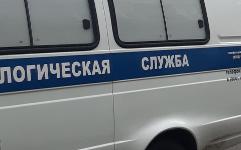 В Чебоксарах пропала 30-летняя женщина: "Такого никогда с ней не было"