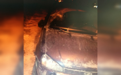 В Чебоксарском районе пьяный пешеход неожиданно вышел перед машиной