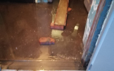 Жильцы ежегодно преодолевают бассейн в подъезде, чтобы попасть домой