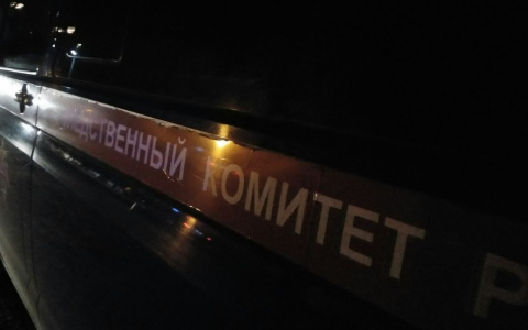 Смертью школьницы в гимназии № 1 занялся Следственный комитет