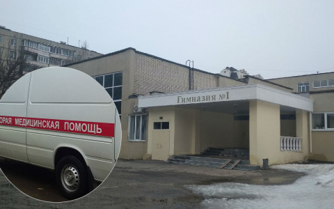 Минздрав о гибели девочки на уроке физкультуры: "Более часа медики пытались вернуть ее к жизни"