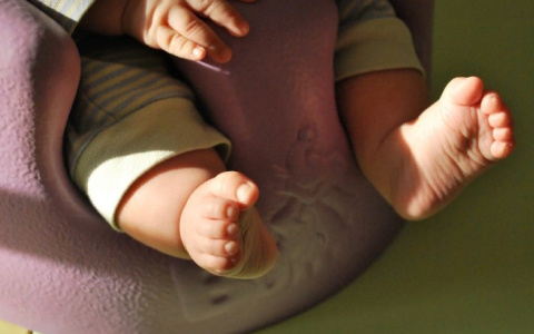 В Чебоксарах девочку назвали "цветочным" именем