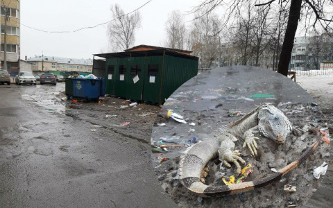 Мертвая игуана лежит на улице Чебоксар несколько дней