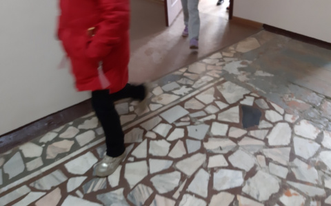 Школьницу после жалобы переведут на индивидуальное обучение