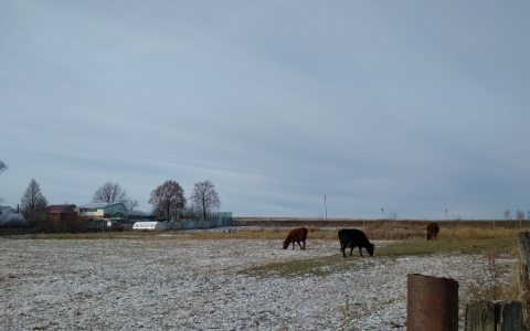 В Чувашии первая семья взяла сельскую ипотеку