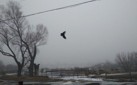 МЧС объявило "желтый" уровень опасности