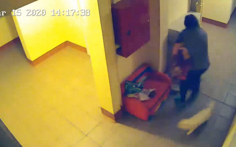 Кошку выселили в подъезд со всеми пожитками: с мебелью и лотком