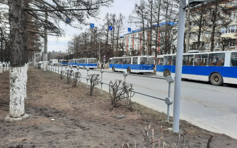 Мелкое ДТП парализовало движение троллейбусов в Чебоксарах