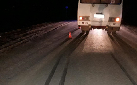 Рейсовый автобус сбил мужчину в Янтиковском районе