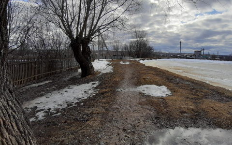 Ветер в Чувашии не утихнет и в пятницу: "Порывы до 13 метров"