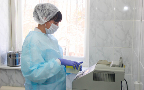 Специалисты рассказали, как сдать анализ на коронавирс в Чувашии