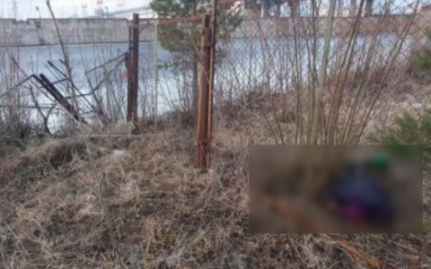 Тело разыскиваемой новочебоксарки нашли у Волги спустя неделю