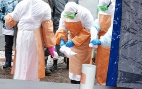 В чувашском селе объявили карантин по бешенству