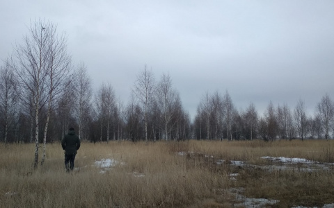 В понедельник порывы ветра достигнут 16 метров в секунду