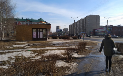 После снегопада в Чувашию придет резкое потепление