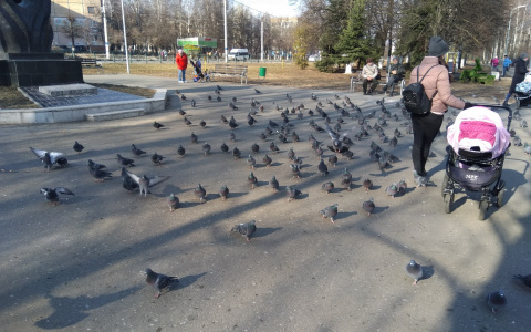 Погода в Чувашии улучшится, но ветер останется