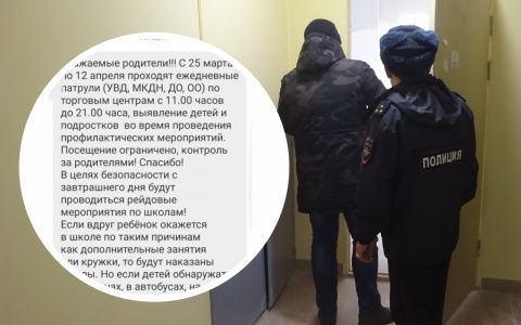 Фейки о карантинных патрулях в Чувашии распространяют даже учителя и директора школ