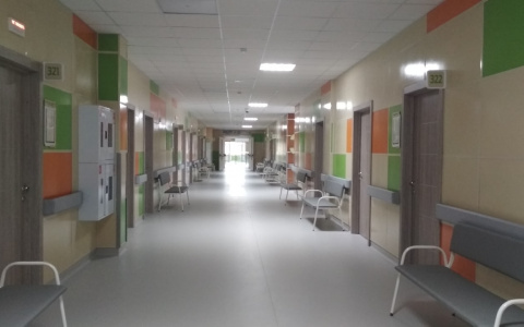 Больницы Чувашии будут работать в обычном режиме, но посещать их не советуют