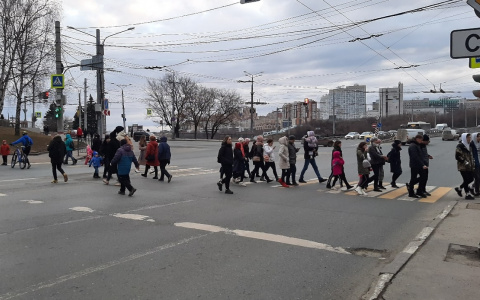 Больше половины опрошенных не будут сидеть дома, а пойдут на работу