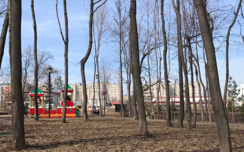 Воскресная погода порадует южным ветром и повышением температуры