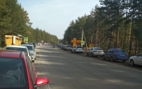 Чебоксарцы повалили в лес, несмотря на ситуацию с вирусом