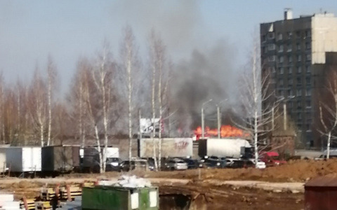 В первые же теплые выходные в Чувашии начался пал травы