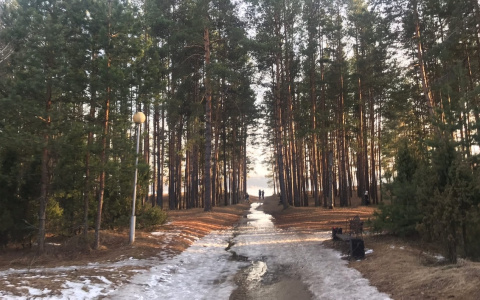 В Чувашии введен режим пожароопасного сезона: 13 населенных пунктов под особой угрозой