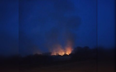 В Канашском районе огонь охватил поле рядом с деревней