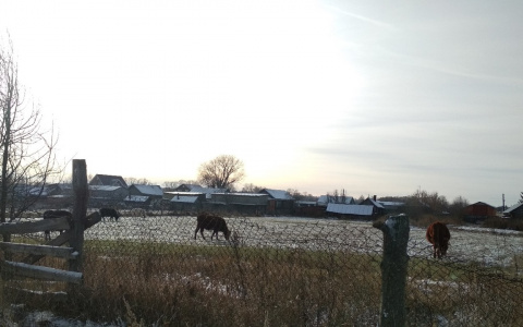 Села Чувашии потеряли на начало года 6 тысяч человек