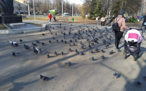 Потеплее станет в Чувашии в четверг, но ветер останется