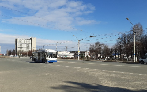 Опрошенные жители Чувашии поддержали Путина в решении длительной изоляции