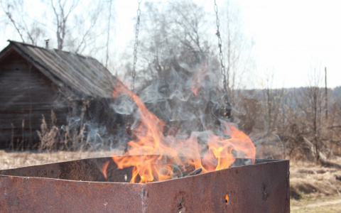 Шашлыки в лесу с завтрашнего дня могут влететь в копеечку