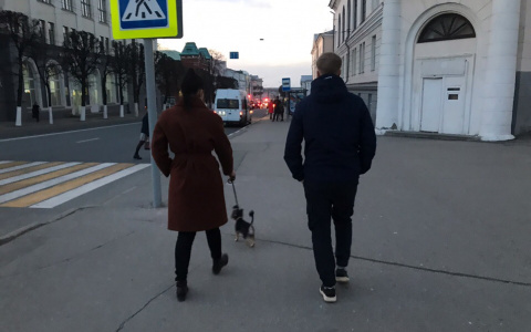 В чем идти за хлебушком и гулять с собакой: прогноз погоды на неделю