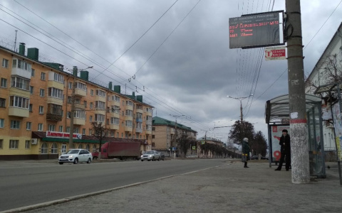 В воскресенье прогнозируются порывы ветра до 10 метров в секунду