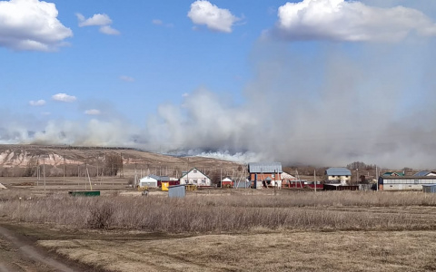 В Чувашии из-за пала травы едва не сгорела деревня: "Огонь остановили в 10 метрах"