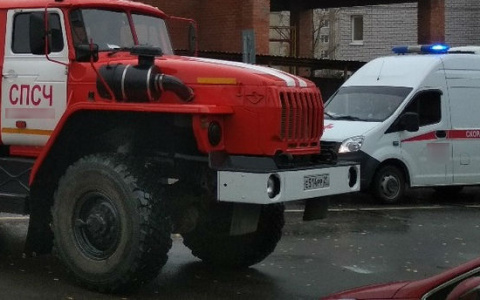 В чувашской деревне погиб мужчина во время пожара