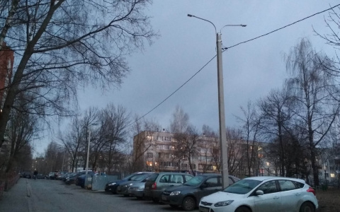 Ветер в Чувашии усилится до 20 метров в секунду, МЧС выпустило предупреждение