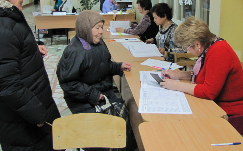 Резервные 59 млн рублей пустят на голосование в Чувашии по Конституции