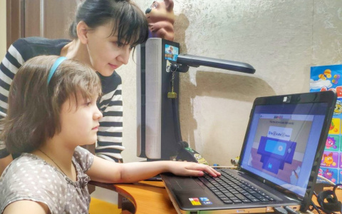 Родители Чувашии о дистанционной школе: "Все виснет, не все понятно"