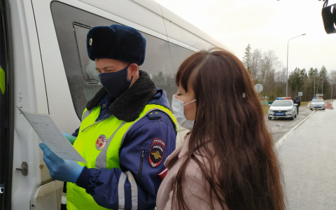 Чиновники вместе с полицейскими выезжали на дороги Чувашии и проверяли пассажирские автобусы