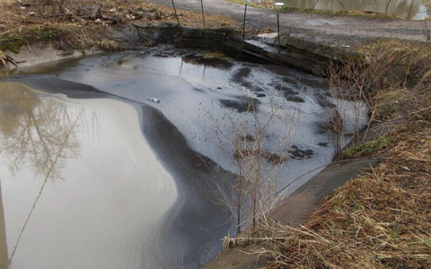Женщина утонула в пруду деревни Анаткасы: спасатели назвали вероятную причину