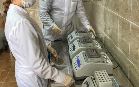 Эксперты лаборатории установили, что пропавший новочебоксарец умер