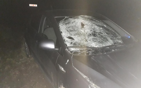 На Марпосадском шоссе насмерть сбили мужчину