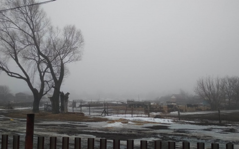 Туман окутает Чувашию в понедельник