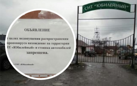 Дачница из Чебоксар: "Власти открывают выезд, а садовые товарищества закрывают въезд"